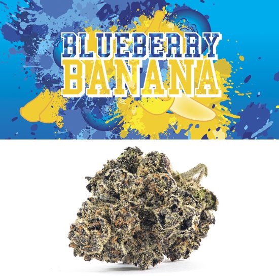 Cookies | Blueberry Banana | Pre-Packaged Premium Flower | 7g