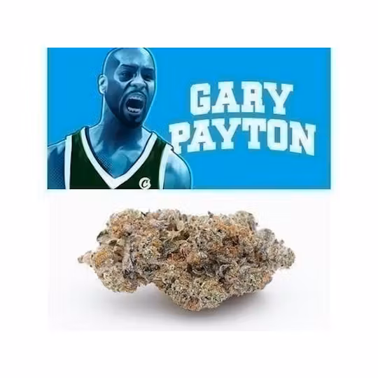 Gary Payton by Cookies